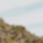 imgi_10_blurred-landscape-background